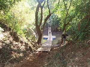 PB060105.jpg