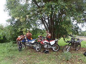 P1070004.jpg