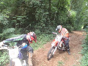 P1070006.jpg
