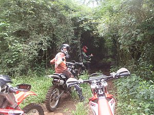 P1070008.jpg