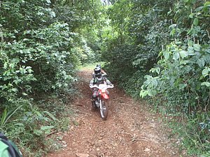 P1070013.jpg