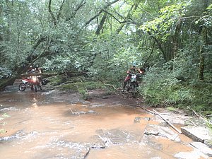 P1070019.jpg