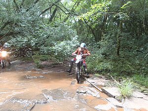 P1070022.jpg