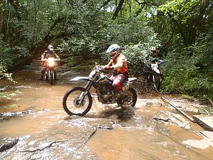 P1070023.jpg
