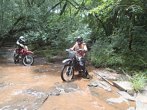 P1070025.jpg