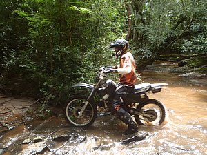 P1070026.jpg