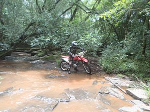 P1070027.jpg