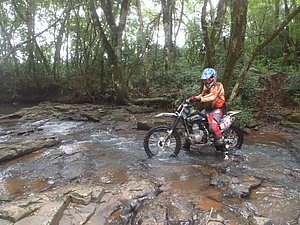 P1070029.jpg