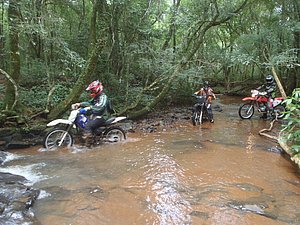 P1070030.jpg