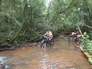 P1070031.jpg
