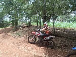 P1070033.jpg