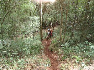 P1070035.jpg