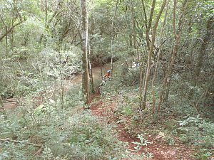 P1070037.jpg