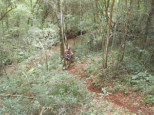 P1070039.jpg