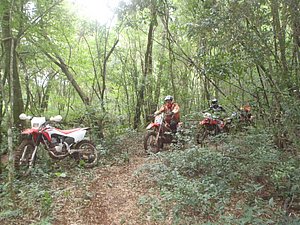 P1070041.jpg