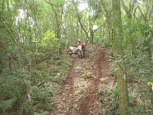 P1070044.jpg