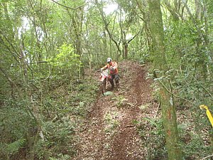 P1070045.jpg