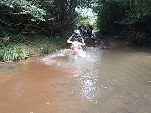 P1070051.jpg