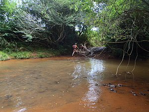 P1070056.jpg