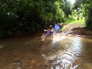 P1070059.jpg