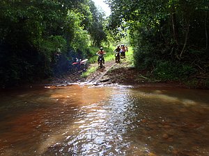 P1070061.jpg