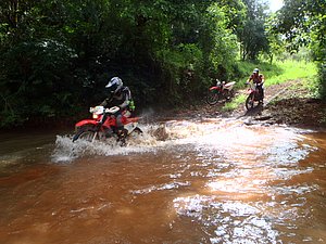 P1070065.jpg