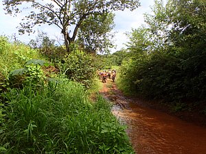 P1070069.jpg