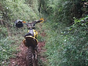 IMG-20170913-WA0036.jpg