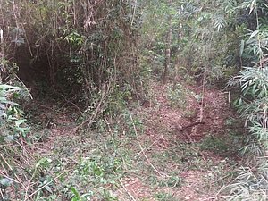IMG-20170913-WA0038.jpg
