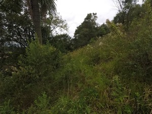 GOPR4607.JPG