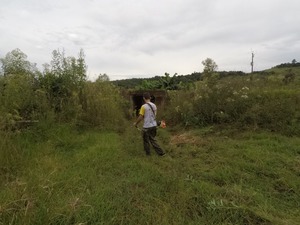 GOPR4617.JPG