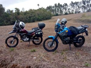 IMG-20180728-WA0014.jpg