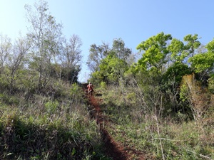IMG-20180929-WA0054.jpg
