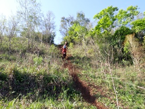 IMG-20180929-WA0063.jpg