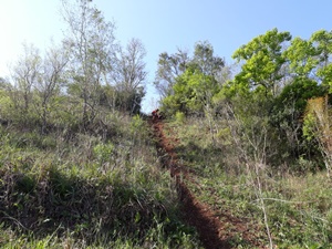 IMG-20180929-WA0064.jpg