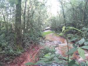 IMG-20190602-WA0071.jpg