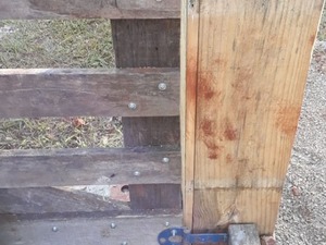 IMG-20190708-WA0043.jpg