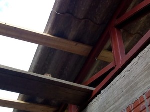 IMG-20190713-WA0017.jpg