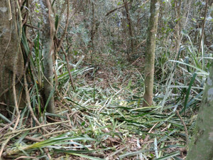 IMG-20240706-WA0026.jpg